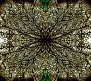 05  Peter Rohwer 3